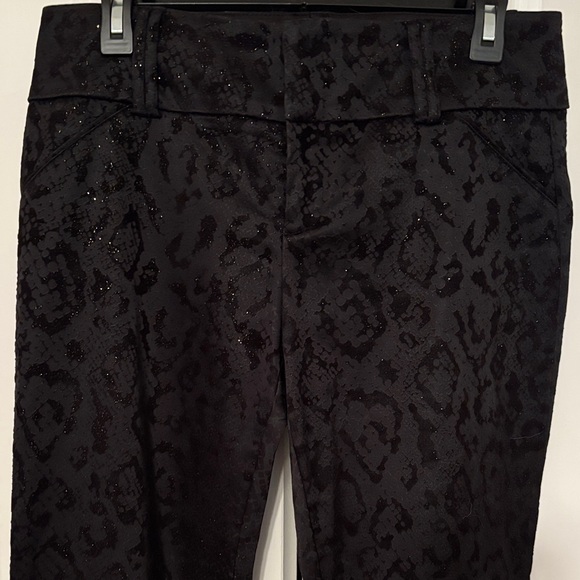 Cache Pants - Cache Black Textured Women's Pants